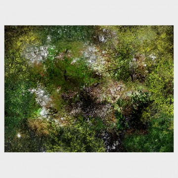 Flying Forest (33)