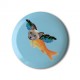 Catparrotfish