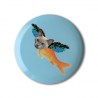 Catparrotfish
