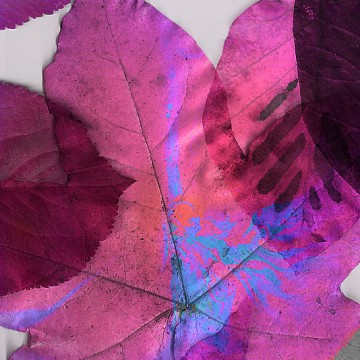 Leaves 4 print