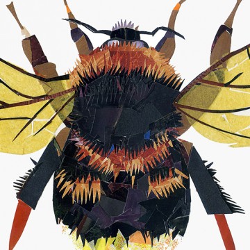 Bumblebee print