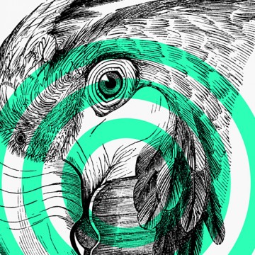Parrot print