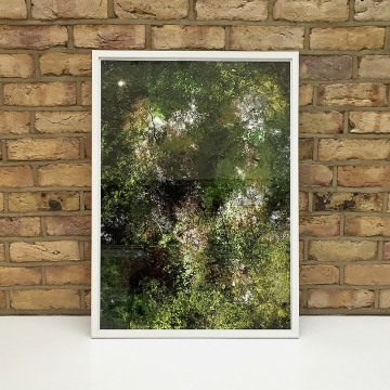 Flying Forest (33)