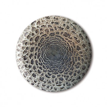 Mushroom 2 print