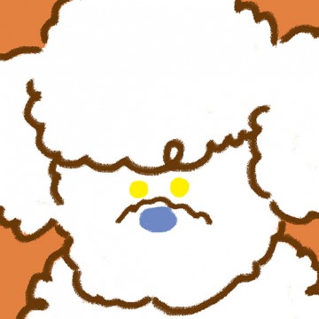 Poodle Puppy print