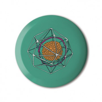 Radiolaria Green print