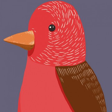 Red Bird print