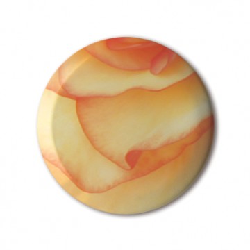 Gift Box: 4 button badges (Flowers)