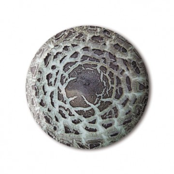 Gift Box: 4 button badges (Parasol Mushrooms)