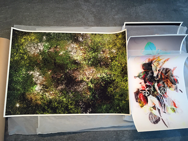 FL@33's Fine ArtcGiclée Prints for Transition show